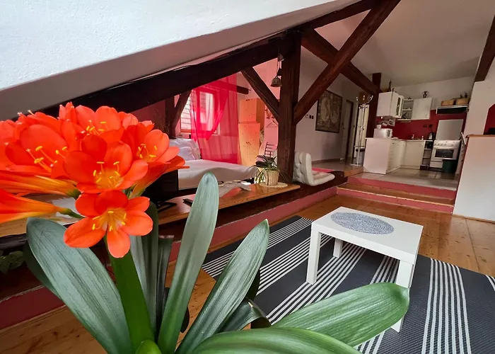 Apartman Galant *